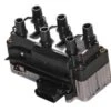 Beru 021905106C, 138437 Ignition Coil - VW | 021905106CH W01331599213 -Brembo Shop 021905106C