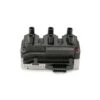 Beru 021905106, ZSE004 Ignition Coil - VW