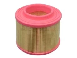 Mann C1677 Air Filter - Audi | 07L133843E