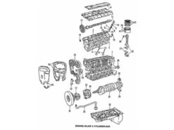 Genuine Volvo 271952 Timing Belt - Volvo