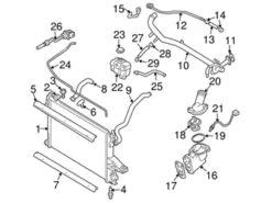 Genuine Volvo 30680915 Radiator Coolant Hose - Volvo