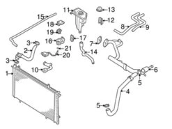 Genuine Volvo 30822040 Radiator Coolant Hose - Volvo