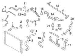 Genuine Volvo 31219144 Coolant Pipe; Left - Volvo