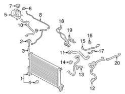 Genuine Volvo 31368351 Expansion Tank/Coolant Reservoir Hose - Volvo