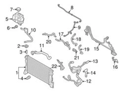 Genuine Volvo 31657643 Radiator Coolant Hose; Lower - Volvo