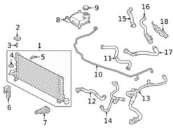 Genuine Volvo 32222093 Engine Coolant Overflow Hose - Volvo