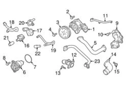 Genuine VW/Audi 06M121031D Water Pump Pulley - Audi | AU06M121031D