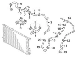 Genuine VW/Audi 4H0121448M Coolant Hose; Rear - Audi | AU4H0121448M