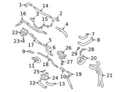 Genuine VW/Audi 4KE121609M Radiator Coolant Hose | AU4KE121609M