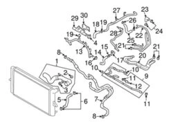 Genuine VW/Audi 7L6121096 Coolant Hose; Left Lower - VW | VW7L6121096