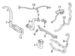 Genuine VW/Audi 80A122902AC Radiator Coolant Hose; Right - Audi | 80A122902AA AU80A122902AC