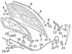 Genuine VW/Audi 80A823359A Hood Lift Support; Left, Right - Audi | 80A823359C AU80A823359A