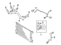 Genuine VW/Audi 8R0121081P Engine Coolant Overflow Hose - Audi | AU8R0121081P